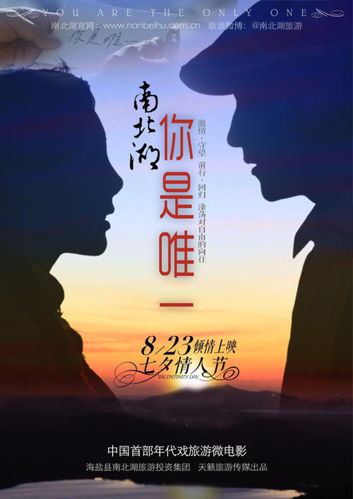 电大学历证书可以查询吗